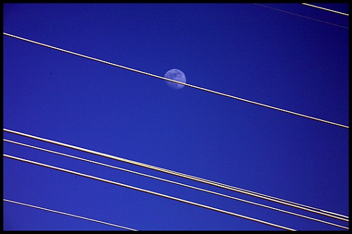 Moon on a Wire.jpg